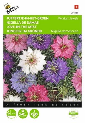 [B4535] Nigelle de Damas Persian Jewels (Semences)