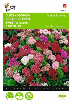 [B5075] Oeillet de Poète à fleur double (Semences)