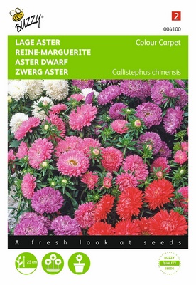 [B4100] Reine Marguerite Colour Carpet (Semences)