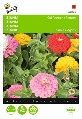 [B4865] Zinnia Géant de Californie (Semences)