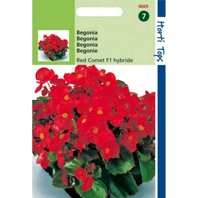 [H4069] Begonia Red Comet F1 (Semences)