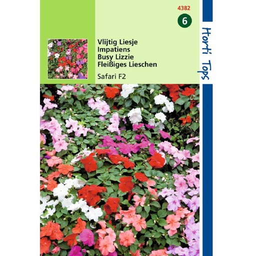 [H4382] Impatiens Wall. Safari F2 Variee (Semences)