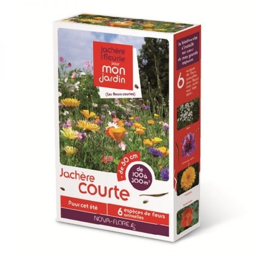 [N25173] Jachère fleurie courte (Semences)