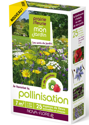 [N25213] Prairie fleurie - Pollinisation (Semences)